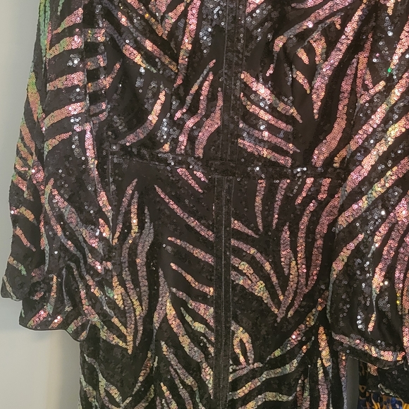 Sequin Zebra Pattern Dress - Picture 4 of 4